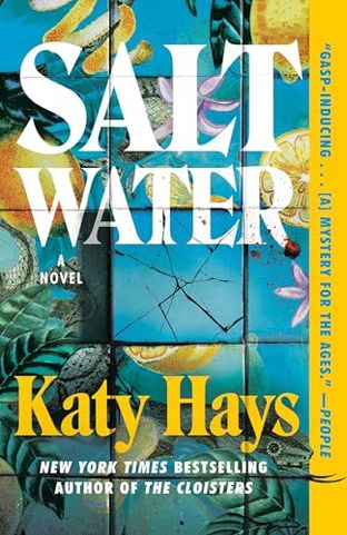 Boekomslag van Saltwater door Katy Hays