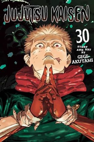 Boekomslag van Jujutsu Kaisen, Vol. 30 door Gege Akutami