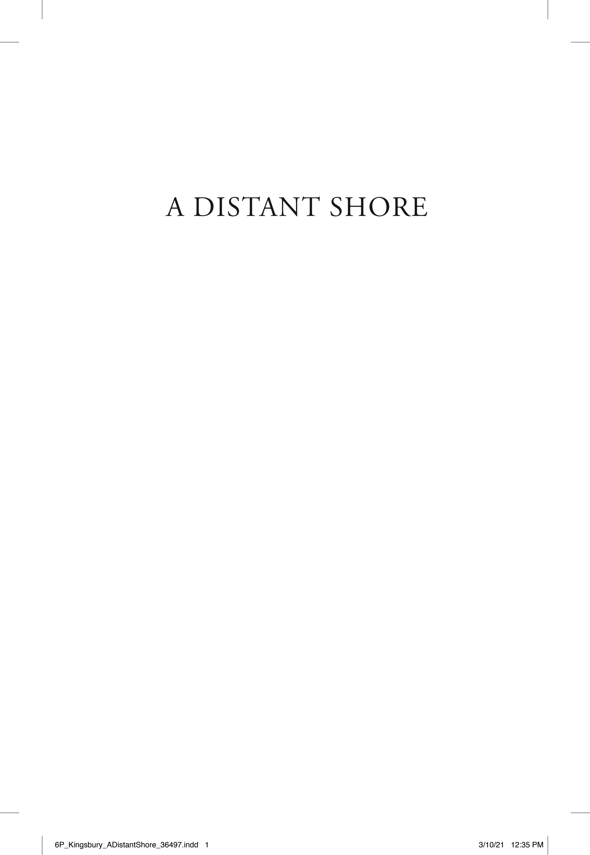 Boekomslag van A Distant Shore door Karen Kingsbury