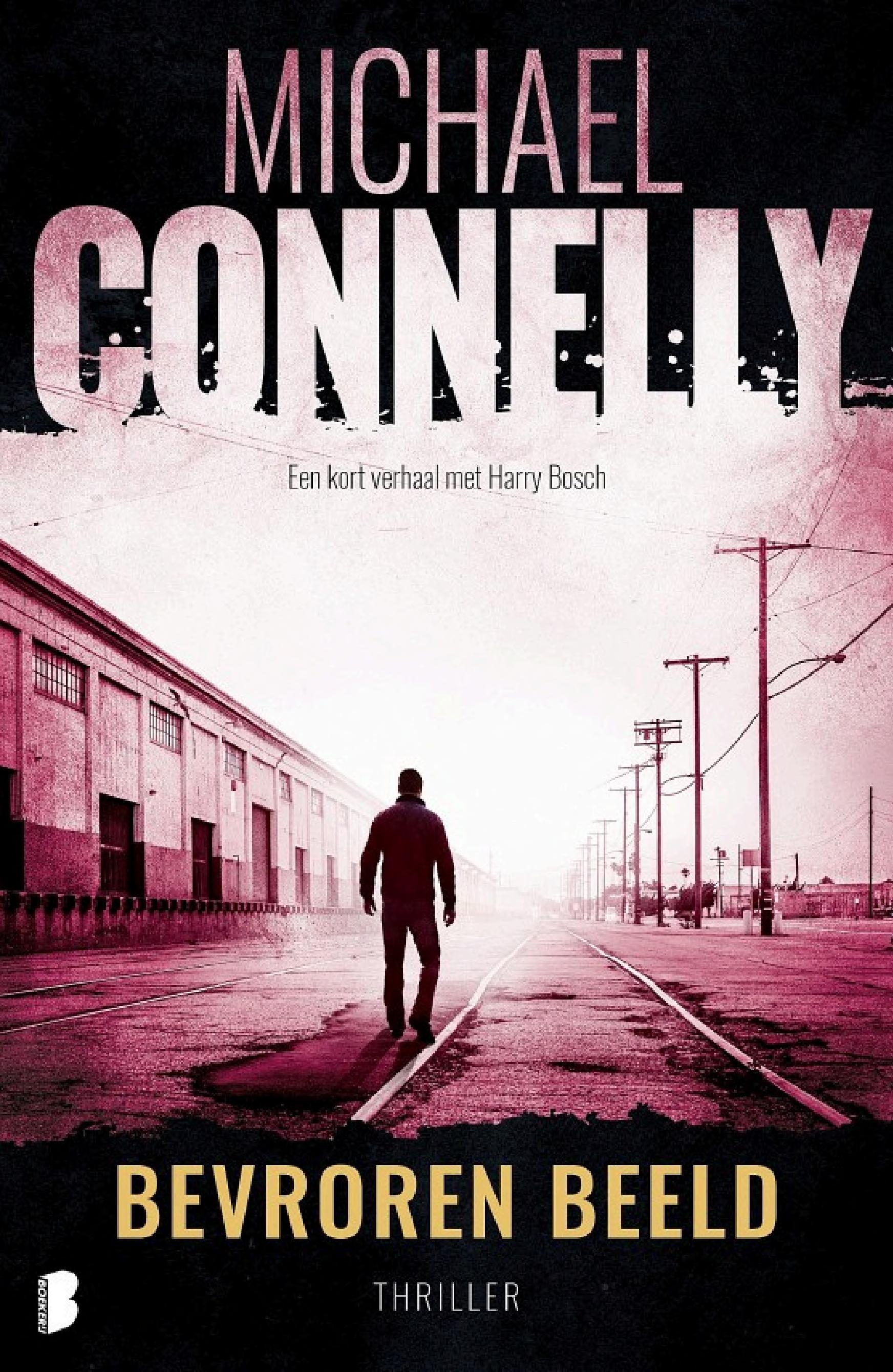 Boekomslag van Bevroren Beeld door Michael Connelly